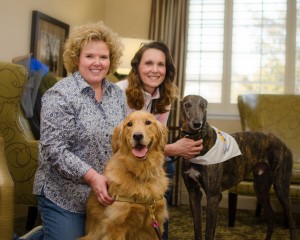 volunteers with dogs 2
