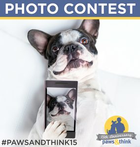 photocontest-web