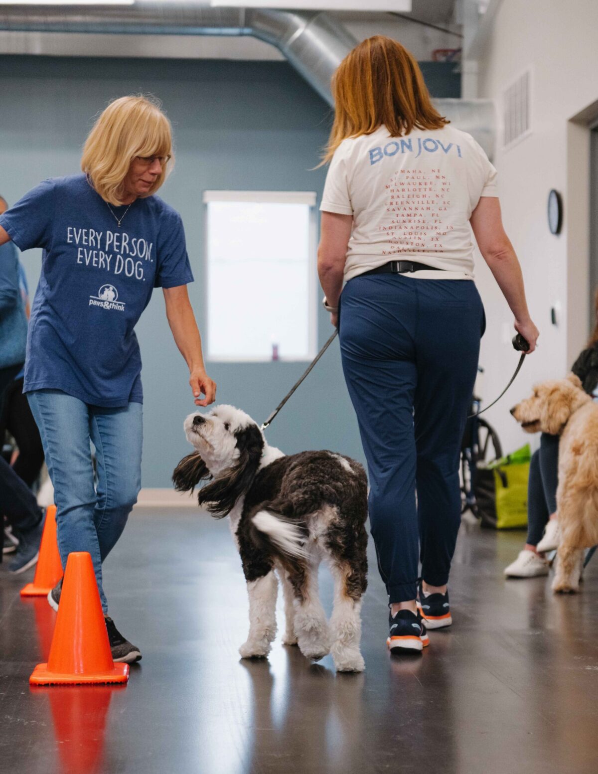 Therapy Dog Training Class